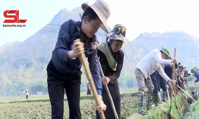 Thuận Châu khai thác hiệu quả công trình thủy lợi