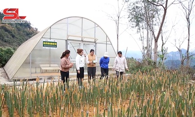 Phát huy hiệu quả nguồn vốn chính sách để giảm nghèo bền vững