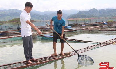 Sinh kế trên vùng lòng hồ thủy điện
