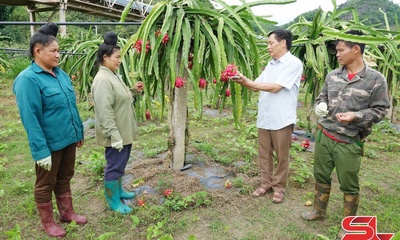 Mở rộng thị trường tiêu thụ nông sản