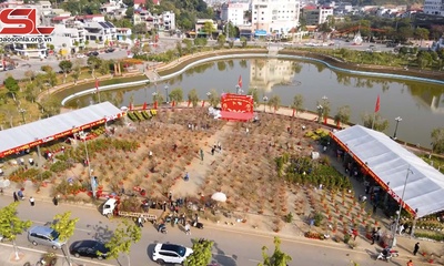 Rực rỡ sắc màu chợ hoa xuân 