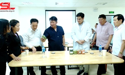 Đồng chí Phó Bí thư Thường trực Tỉnh ủy nắm tình hình hoạt động tại một số doanh nghiệp tại huyện Vân Hồ

