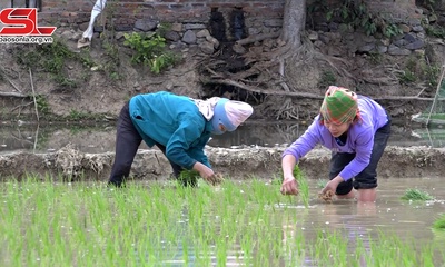 Đảm bảo nguồn nước sản xuất vụ xuân
