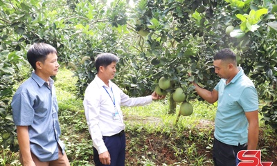 Sông Mã xây dựng nhiều mô hình kinh tế hiệu quả