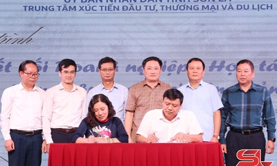 Kết nối doanh nghiệp – hợp tác xã trong chuỗi giá trị nông sản