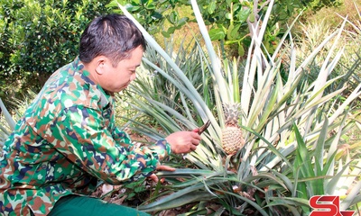 Tạ Bú khai thác tiềm năng phát triển kinh tế