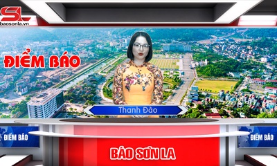 Điểm báo tuần 49