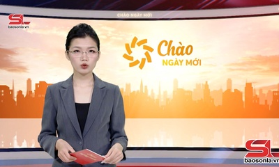 Chào ngày mới 11/3/2026