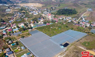 Lóng Phiêng phát huy hiệu quả kinh tế tập thể