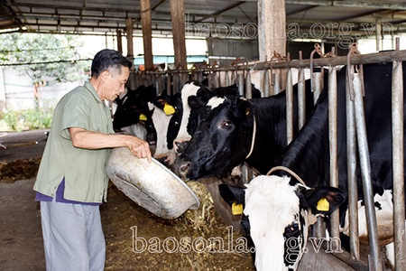 Cựu chiến binh giúp nhau xóa nghèo, làm kinh tế giỏi