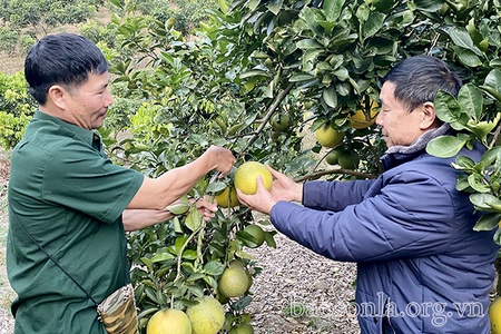 Thêm lực cho người nghèo vượt khó