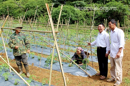 Nông thôn mới Vân Hồ