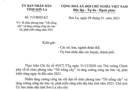 Tổ chức phong trào “Tết trồng cây” và bảo vệ, phát triển rừng năm 2021