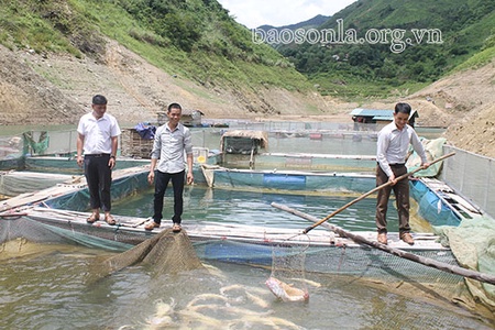 Đảng bộ xã Mường Khiêng lãnh đạo phát triển kinh tế