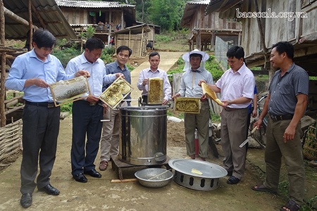 Hỗ trợ các HTX ứng dụng khoa học công nghệ vào sản xuất