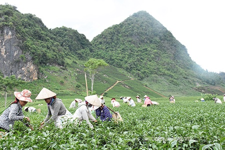 Chung tay xây dựng nông thôn mới