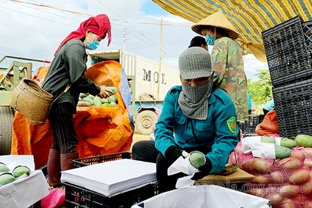Logistics kết nối tiêu thụ nông sản