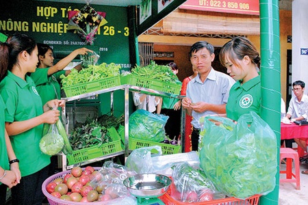 Hướng mở cho nông nghiệp phát triển bền vững