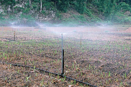 Tổng kết mô hình quản lý tưới tiết kiệm nước công trình thủy lợi hồ Lái Bay