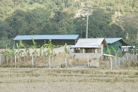 Ngăn chặn tình trạng xây dựng trái phép trong quy hoạch Khu Trung tâm thể dục thể thao tỉnh