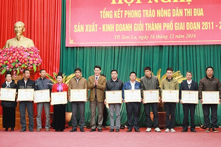 Thành phố:  Tổng kết 5 năm phong trào nông dân thi đua sản xuất, kinh doanh giỏi giai đoạn 2011-2016