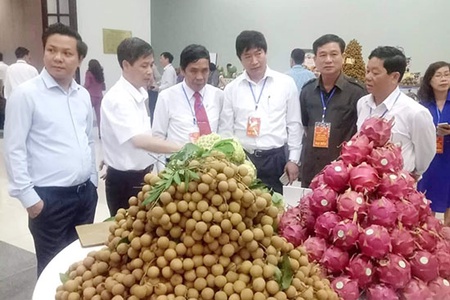 HTX sản xuất, kinh doanh nông nghiệp tiêu biểu