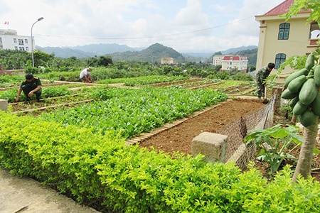 Tham mưu thực hiện nhiệm vụ quốc phòng - quân sự địa phương