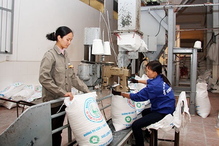 Chỉ số sản xuất ngành công nghiệp tăng 4,8% so cùng kỳ năm 2018