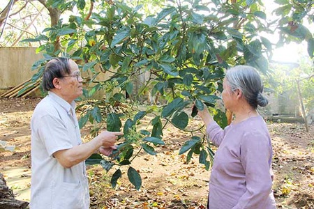 Tiểu khu trưởng hết lòng vì dân