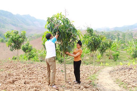 Nữ tỷ phú ở Mường Khiêng