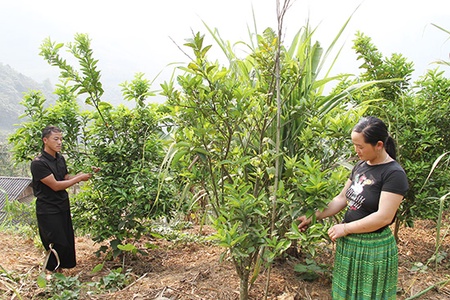 Cuộc sống dưới chân ngọn Pha Luông: Kỳ II: Đổi thay trên mảnh đất vùng biên