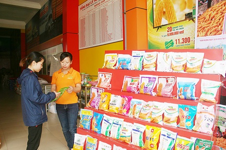 Đảm bảo các điều kiện sản xuất cây trồng trên nương