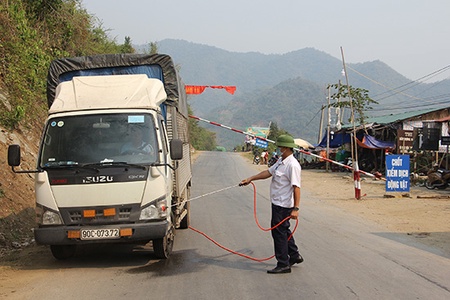 Sông Mã: Tiêm phòng hơn 75.000 liều vắc xin các loại cho đàn gia súc, gia cầm