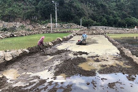 Chủ động phòng, chống thiên tai và tìm kiếm cứu nạn