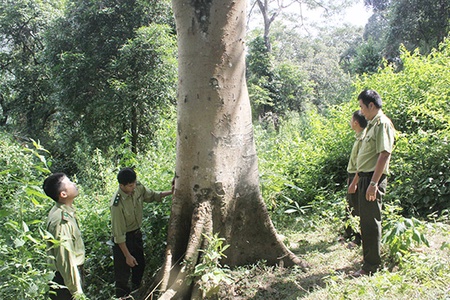 Phát huy vai trò nòng cốt trong công tác quản lý, bảo vệ rừng