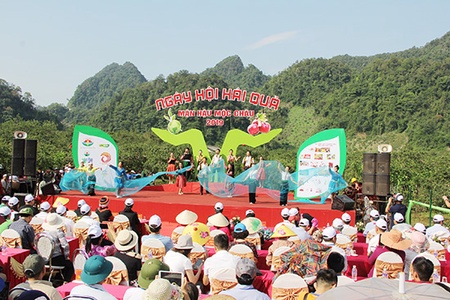 Ngày hội tôn vinh những người nông dân trồng mận