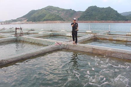 Tạo nguồn lực cho các HTX nông nghiệp hoạt động hiệu quả