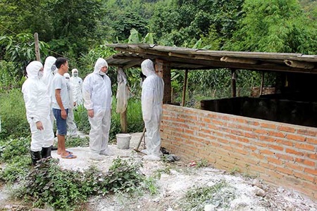 Đồng chí Lò Minh Hùng, Phó Chủ tịch UBND tỉnh kiểm tra công tác phòng, chống bệnh dịch tả lợn châu Phi tại huyện Sông Mã, Sốp Cộp