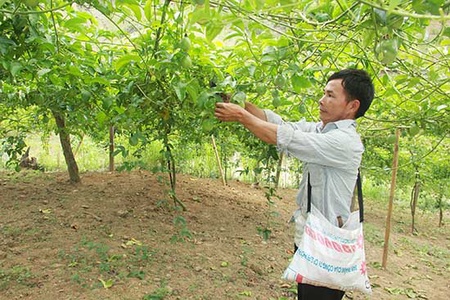 Yên Châu thực hiện hiệu quả các chính sách dân tộc 