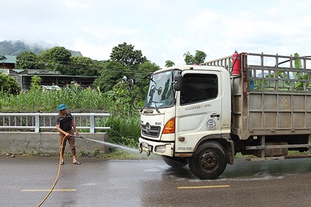 Bắc Yên khống chế, không để bệnh dịch tả lợn châu Phi lây lan