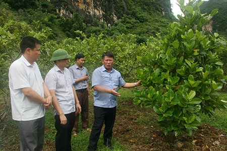 Đồng chí Phó Chủ tịch UBND tỉnh kiểm tra tiến độ xây dựng nông thôn mới tại Quỳnh Nhai, Thuận Châu