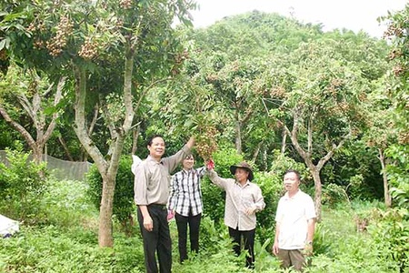 Nà Mường phấn đấu giảm nghèo bền vững