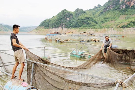 Xây dựng nông thôn mới ở Mường Trai