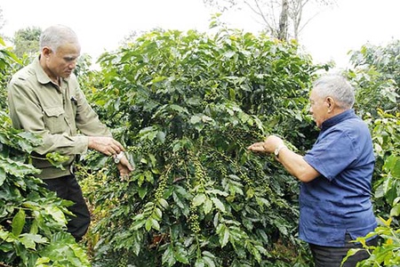 Già làng uy tín ở bản Hốm