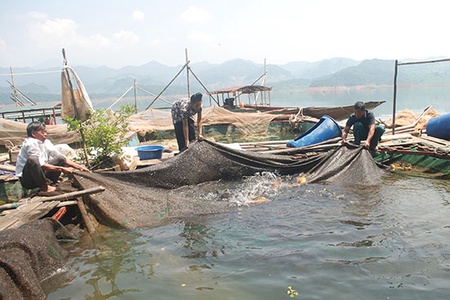 Pá Ma Pha Khinh phát triển nuôi trồng thủy sản