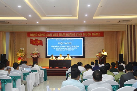 Tổng kết 10 năm thực hiện chính sách chi trả dịch vụ môi trường rừng