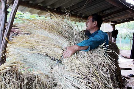 Quỳnh Nhai triển khai các biện pháp bảo vệ đàn vật nuôi trong mùa đông