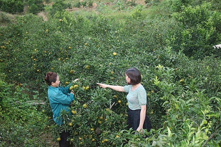 Phù Yên sẵn sàng cho Ngày hội