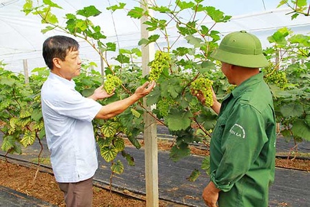 Người mang biệt danh “Khánh nhím”