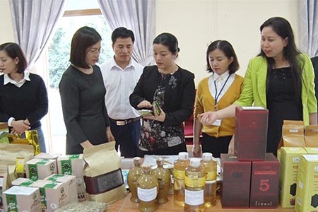Tôn vinh các sản phẩm công nghiệp nông thôn tiêu biểu tỉnh Sơn La năm 2019